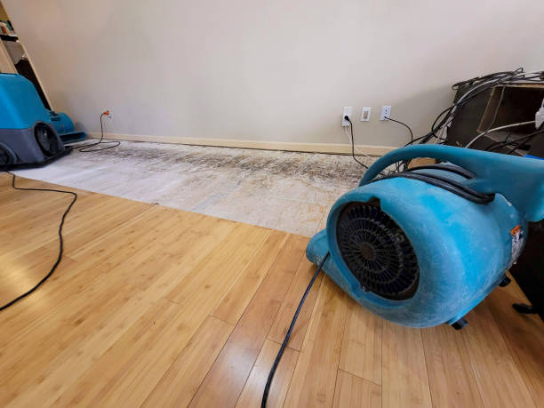 Reliable Basement Flood Cleanup contractor in Wolcott, CO by Hirex Water Damage