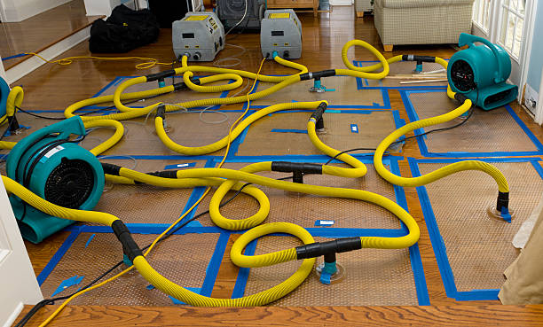 Professional Basement Flood Cleanup technician working in Wolcott, CO